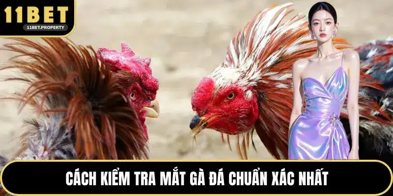 Cách kiểm tra mắt gà đá chuẩn xác nhất