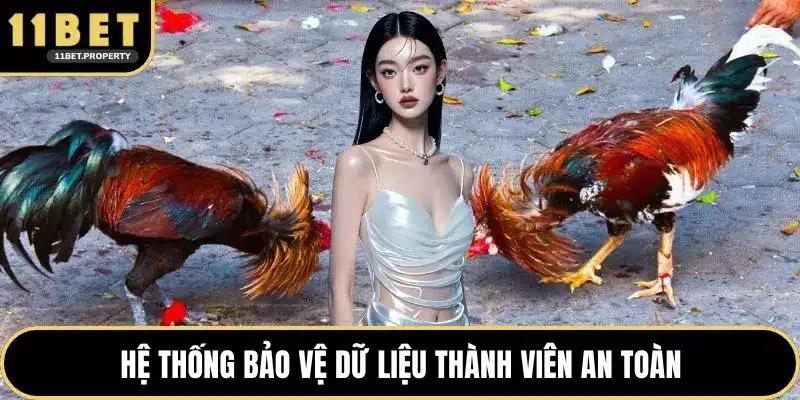Hệ thống bảo vệ dữ liệu thành viên an toàn