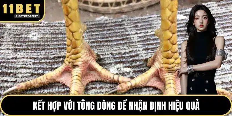 Kết hợp với tông dòng để nhận định hiệu quả