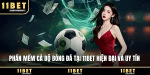 Phần mềm cá độ bóng đá