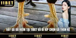 Vảy gà đá hiếm