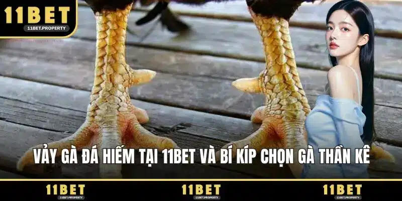 Vảy gà đá hiếm